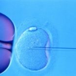 IVF is an Option to Explore