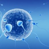 Infertility And You What You Can Do
