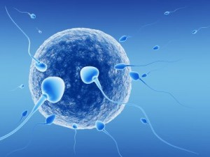 IVF1treatment